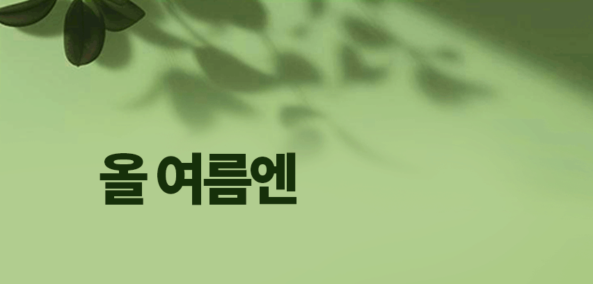 소싱 초파리트랩 끈끈이 해충 날벌레 벌레퇴치 상세 이미지 11