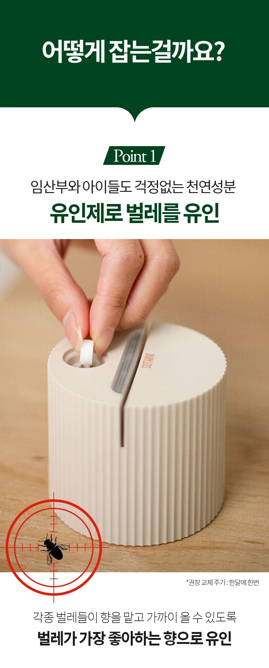 소싱 초파리트랩 끈끈이 해충 날벌레 벌레퇴치 상세 이미지 19