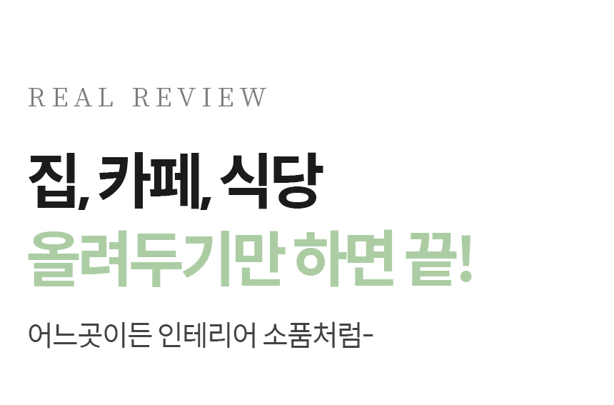 [소싱] 초파리 끈끈이 트랩 해충퇴치기 본품+리필 상세 이미지 7