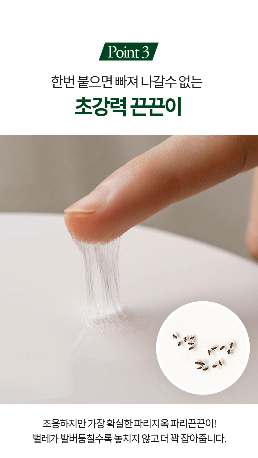 [소싱] 초파리 끈끈이 트랩 해충퇴치기 리필패키지 상세 이미지 24
